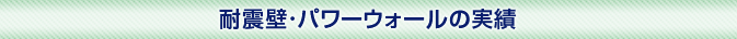 実績