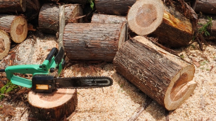 木材価格が急上昇中！今、木材市場で何が起きているのか？！