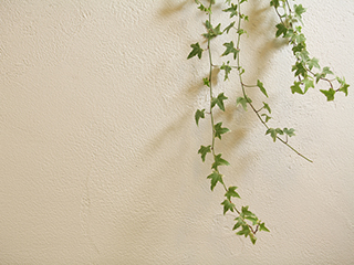 自然素材100%内装塗り壁材 EM珪藻土