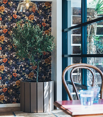 エドプランター(EDD PLANTER)