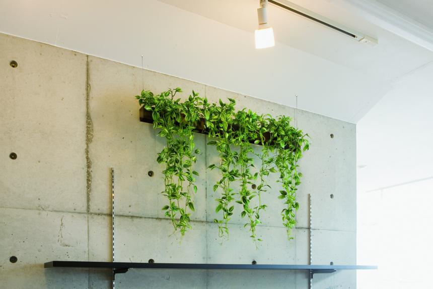 パーテーションポット【グリーンポット】既存のパーテーションを使って飾るタイプ