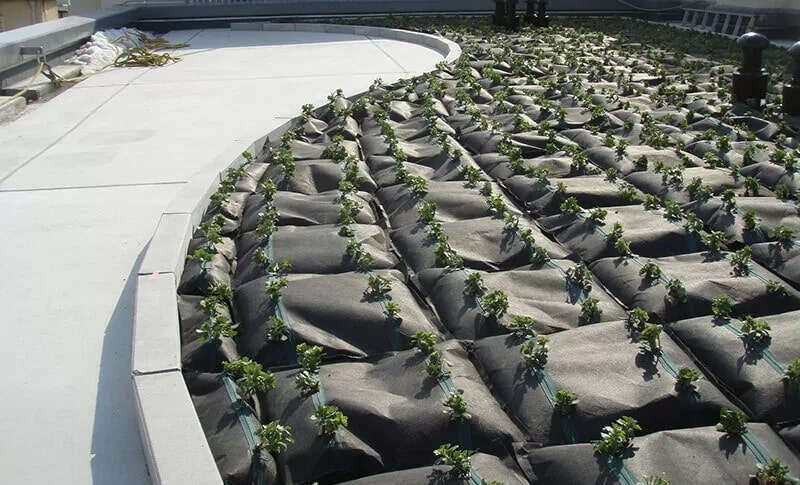 【園芸・装飾・インテリア】緑化システム 常緑キリンソウ袋方式®