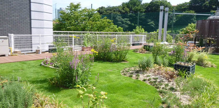 屋上菜園・水田等施工事例のご紹介