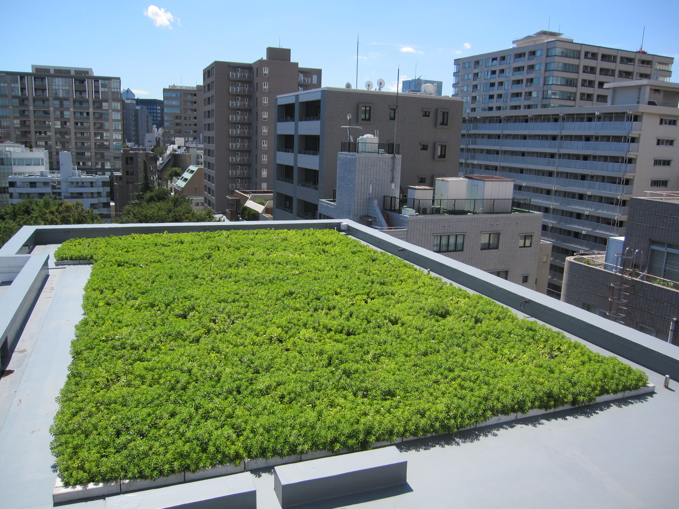 【常緑キリンソウ袋方式】屋上緑化