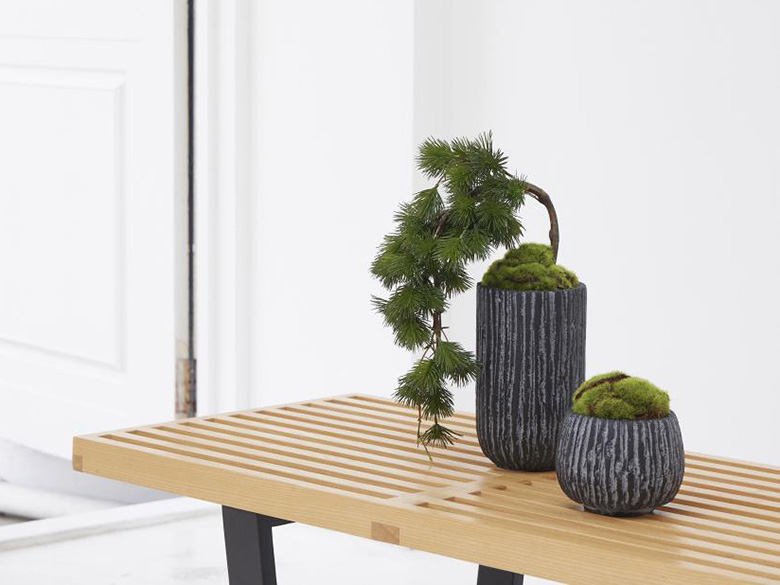 盆栽 CUPBONカップボン