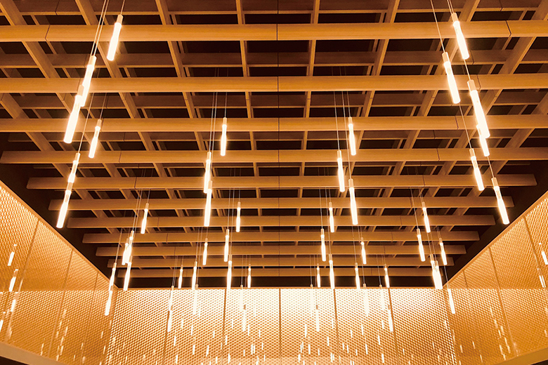 スカイフィット・アイフィット