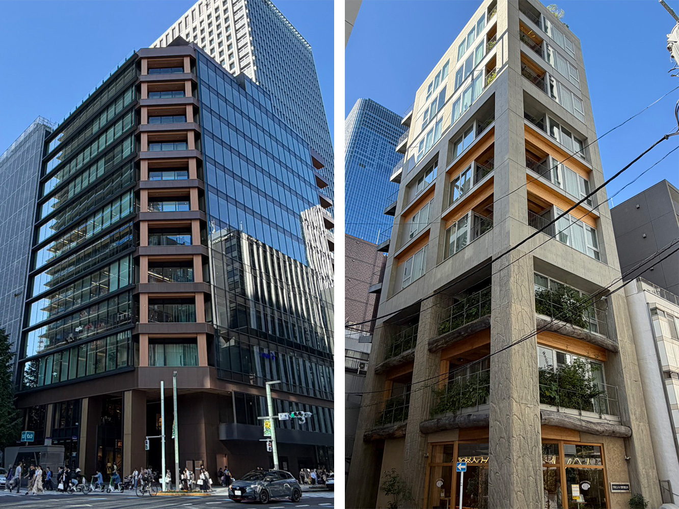 都市と森をつなぐ中大規模木造