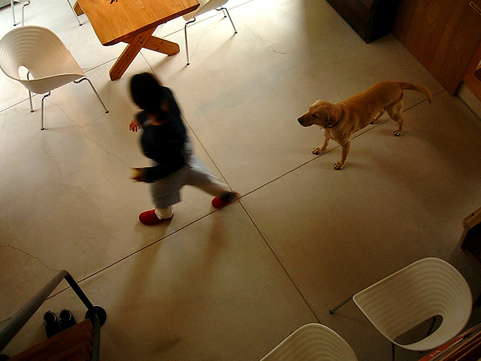 Atelier Fish Architecture 山下誠一郎 山下真未 すまいリング 設計士インタビュー