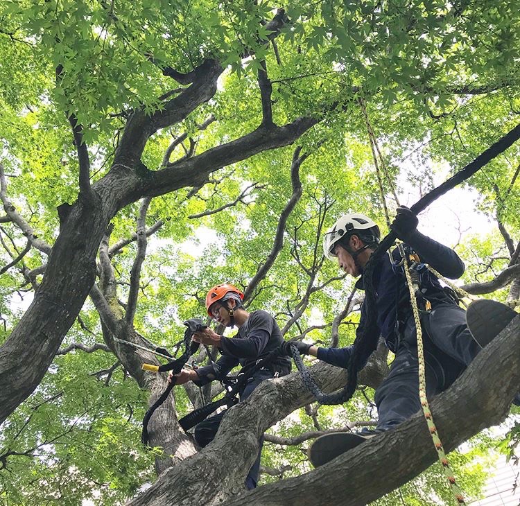 株式会社トシ・ランドスケープ