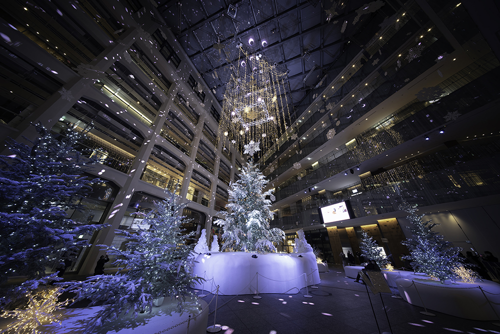 <br />
<b>Notice</b>:  Undefined variable: pageTitle in <b>/var/www/html/www.kenzai-navi.com/public_html/special/page62/index.php</b> on line <b>447</b><br />
