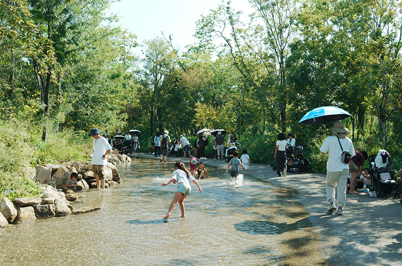 大阪・関西万博の「静けさの森」
