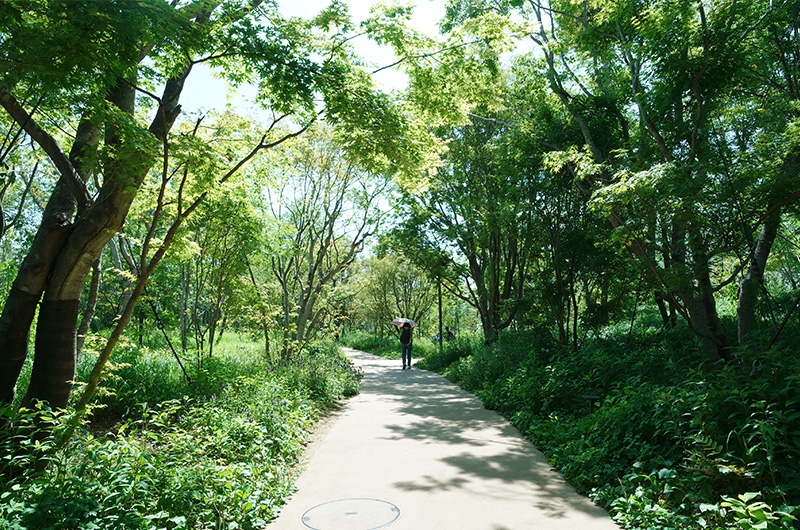 大阪・関西万博の「静けさの森」