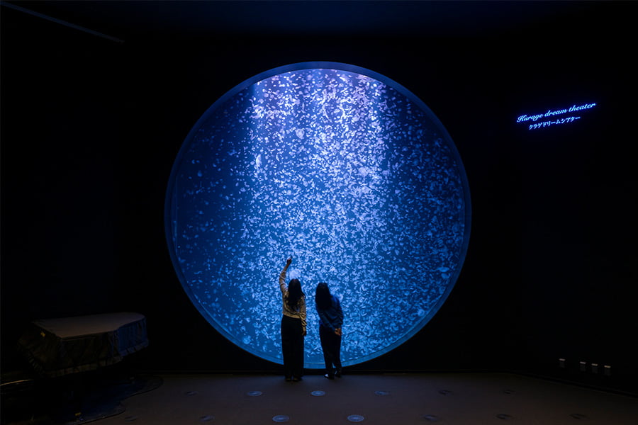 加茂水族館