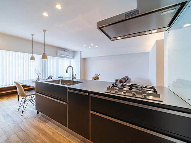 「アベルブラック」LBV-S1バイブレーション