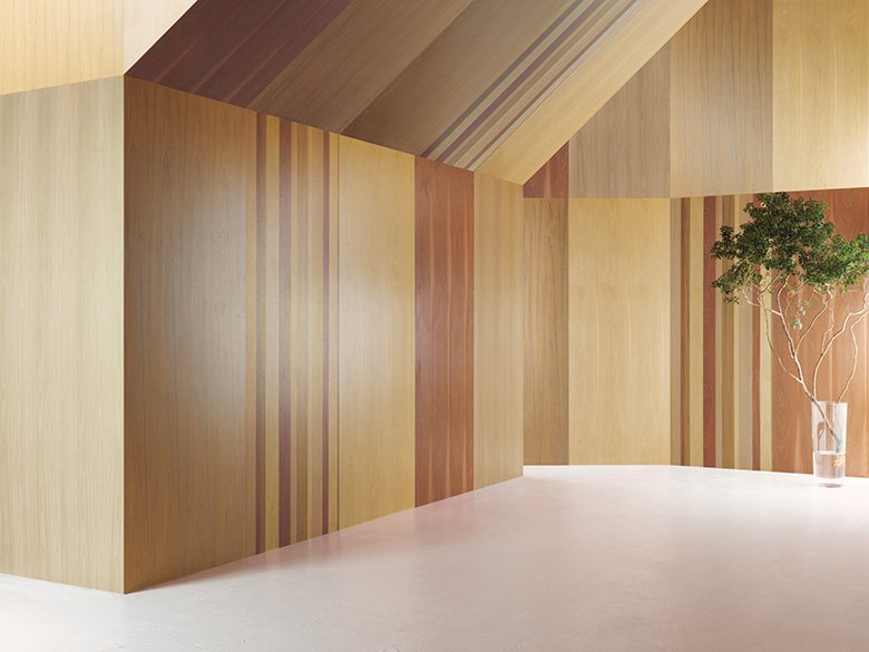 プラスワンダー / アイカ工業株式会社