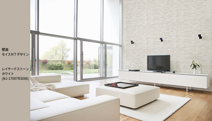 モイス(多機能建材)