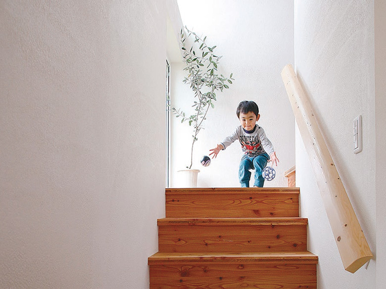 ほたて漆喰ライト カタログ