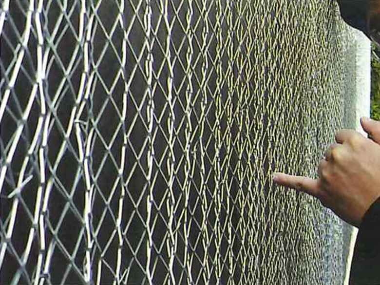 ホタモル カタログ