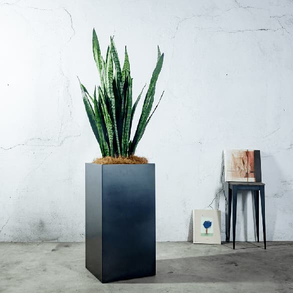 プランターカバー/aizara(アイザラ)