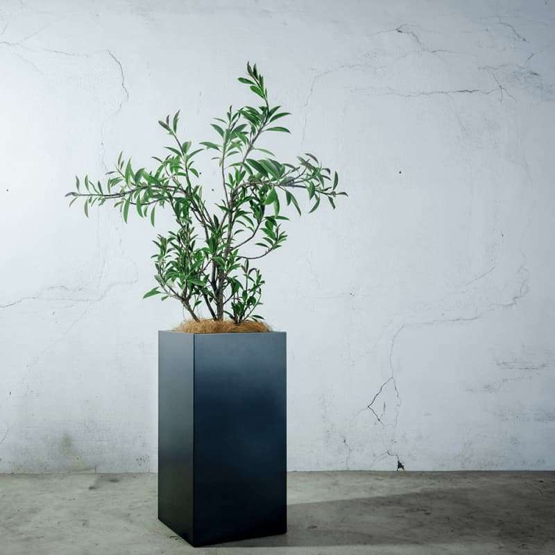 プランターカバー/aizara(アイザラ)