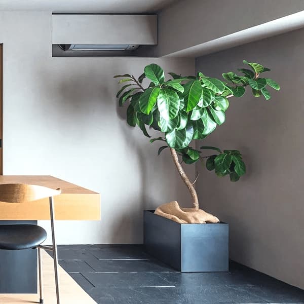 プランターカバー/aizara(アイザラ)