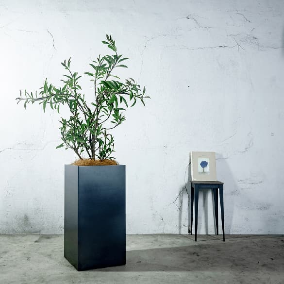 プランターカバー/aizara(アイザラ)