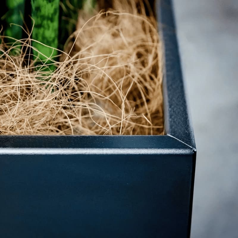 aizara's gallery ギャラリー