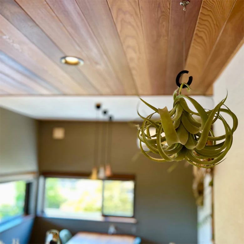 ALCOLOLO ハンガーリング