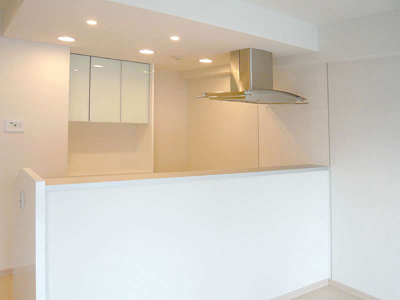 フィアレスカラー【4VOC対策ポリエステル不燃化粧板】