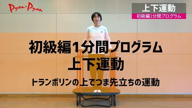 トランポリン「ぴょんぴょん」上下運動初級編/株式会社アミカ・エコテック