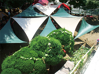 スカイシェード(オリジナル商品)