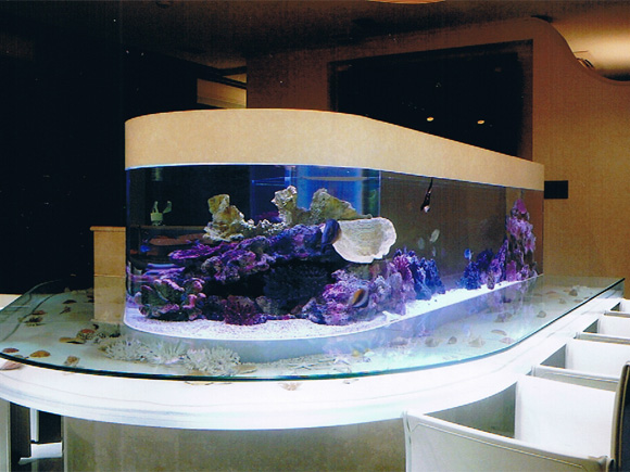 オーダーメイドシステム水槽