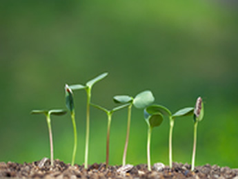 Pyramid和紙壁紙(32色)光触媒・準不燃タイプあり