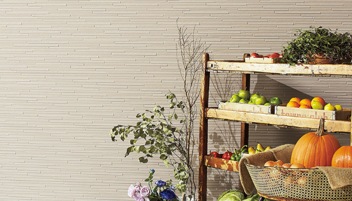 Danサイディング スチール深絞り 【スレンダラインBF】