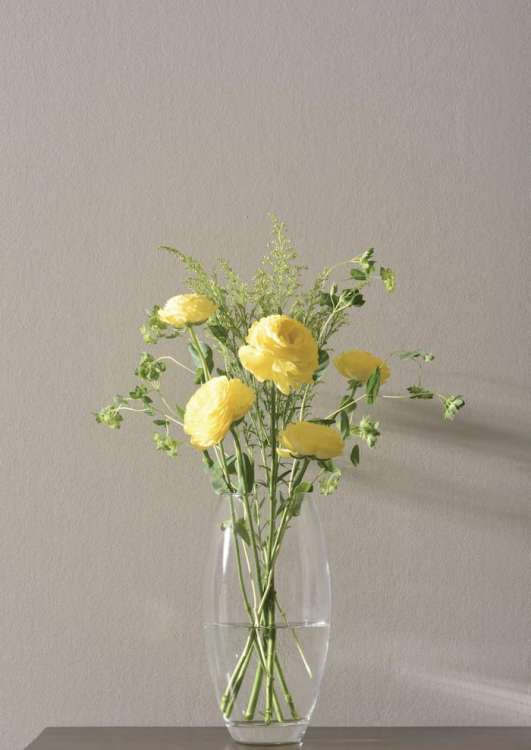 エッグペイント