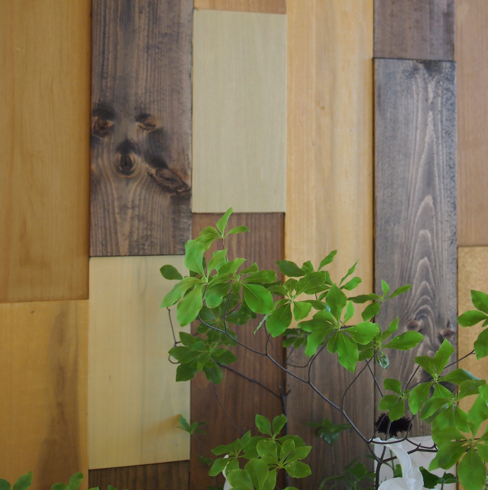 天然仕上げ材 【天然スタイル】