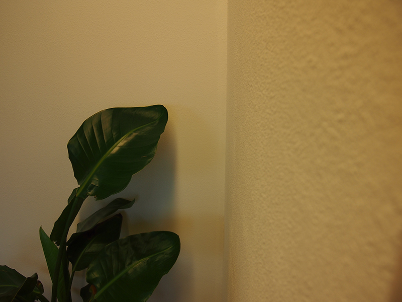 天然内装仕上クリーム材【ビーナスコート】