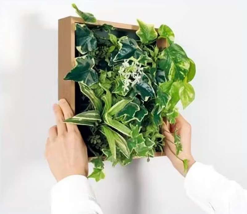 オフィス緑化【マグネットグリーン】 / 株式会社ベルク