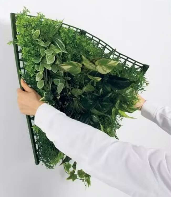 オフィス緑化【マグネットグリーン】 / 株式会社ベルク