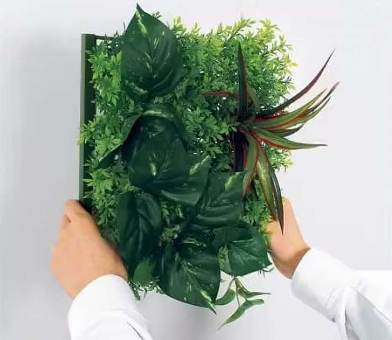 オフィス緑化【マグネットグリーン】 / 株式会社ベルク