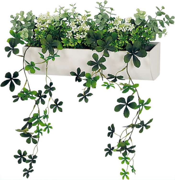 オフィス緑化【マグネットグリーン】 / 株式会社ベルク