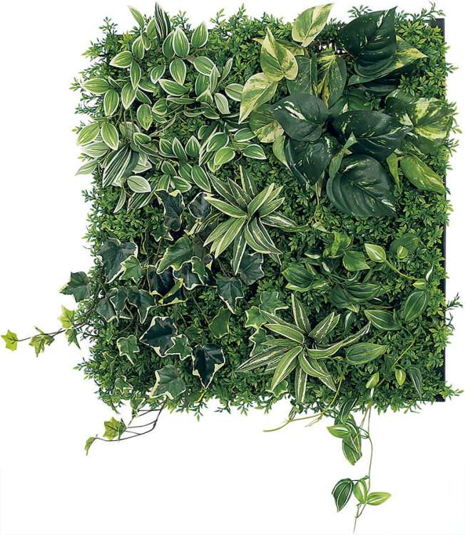 オフィス緑化【マグネットグリーン】 / 株式会社ベルク