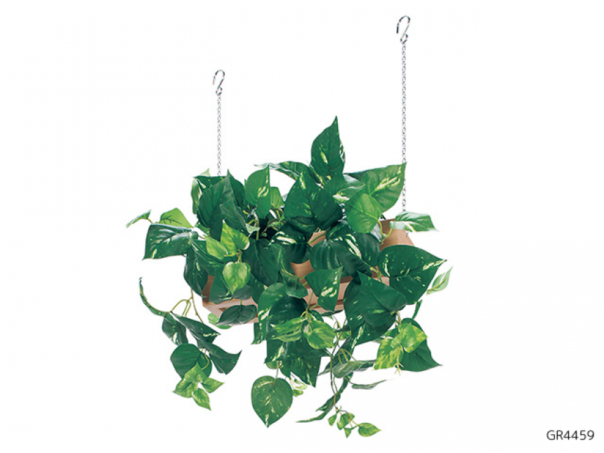 東京本社・ショールーム ギャラリー