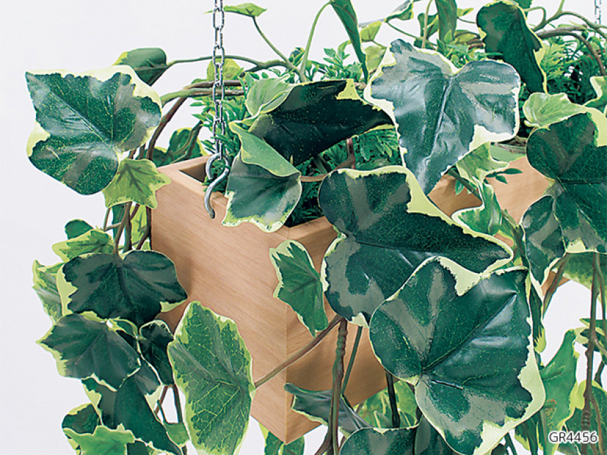 吊下げポット【グリーンポット】ダクトレールや、やぐらブースで飾るタイプ