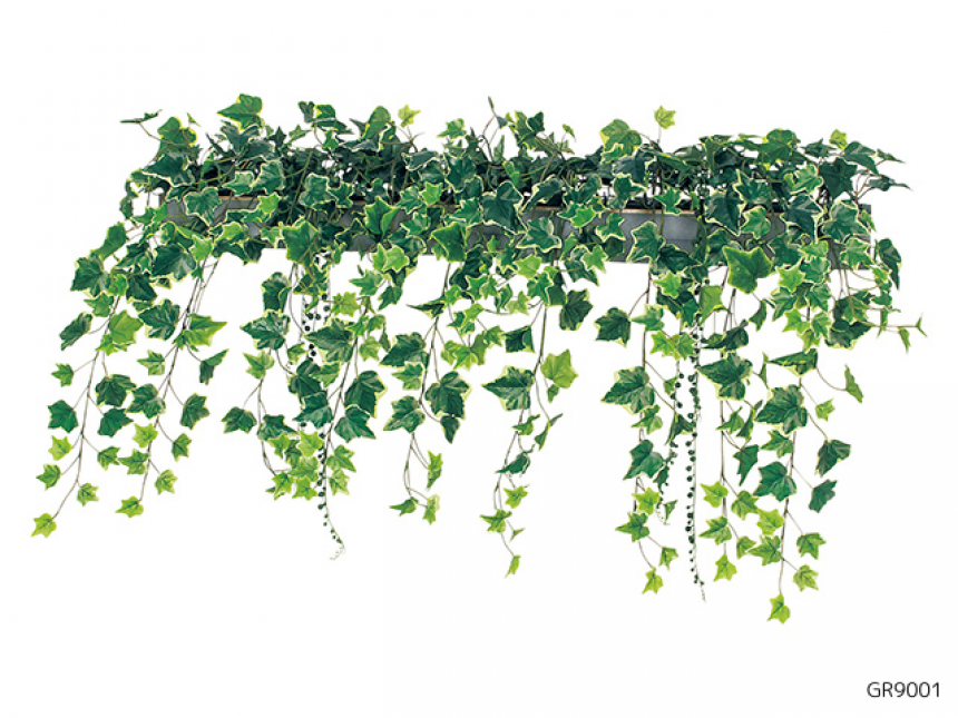 ワイドグリーン【アレンジグリーン】しだれで自然な壁面装飾タイプ