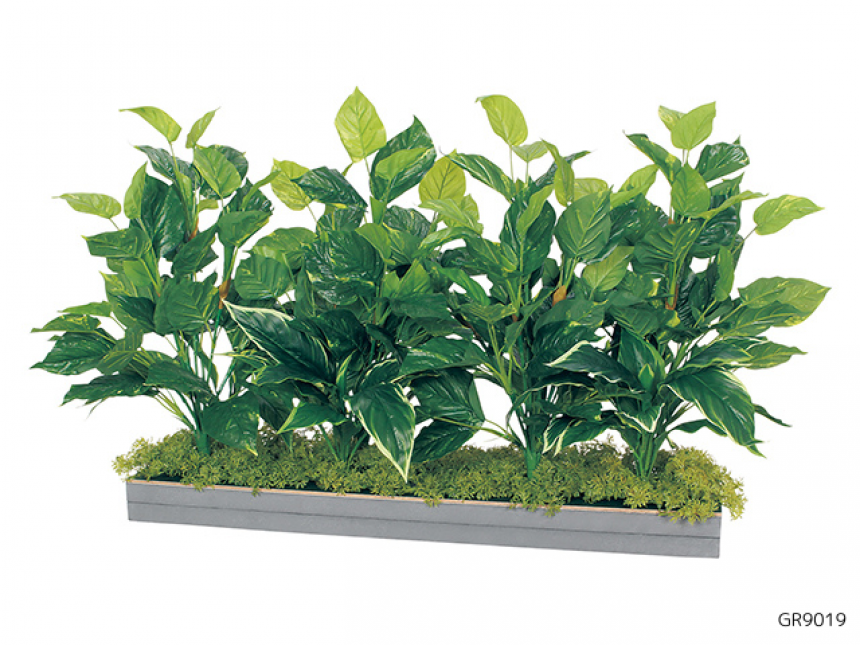 ワイドグリーン【アレンジグリーン】癒しの演出ができる卓上仕切りタイプ