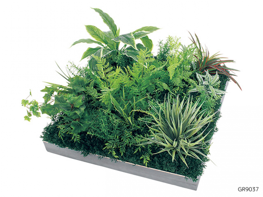 連接スクエアグリーン【アレンジグリーン】広い面積をグリーン装飾するタイプ