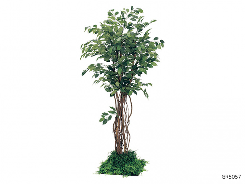 フロアグリーン【人工樹木】樹木を地面に植えたようなグリーンコーナーをつくるタイプ