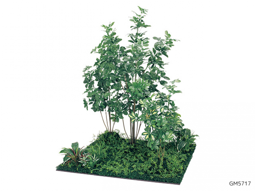 フロアグリーン【人工樹木】樹木を地面に植えたようなグリーンコーナーをつくるタイプ