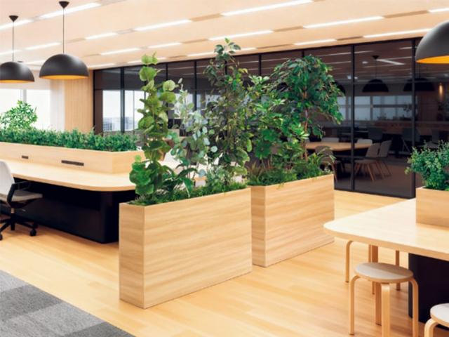 樹木パーテーション【人工樹木】